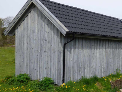 Silvertjära Altan hõbehall - Rootsi tõrvaõli terrassidele, fassaadidele, aiatoolidele, aedadele